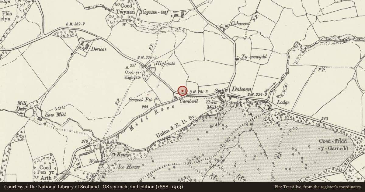 Ordnance Survey six-inch map, 2nd edition (1888–1913) covering the location of No 1 Llygard-y-Dydd, Betws Yn Rhos, Conwy, with a pin at the register's coordinates