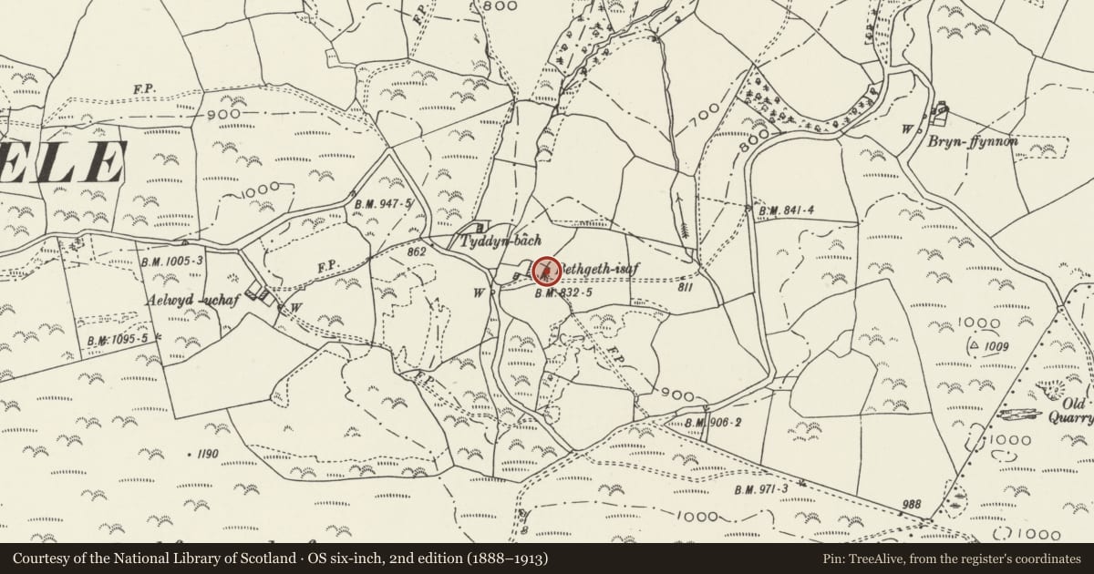 Ordnance Survey six-inch map, 2nd edition (1888–1913) covering the location of Primary House at Bethgeth, Betws Yn Rhos, Conwy, with a pin at the register's coordinates