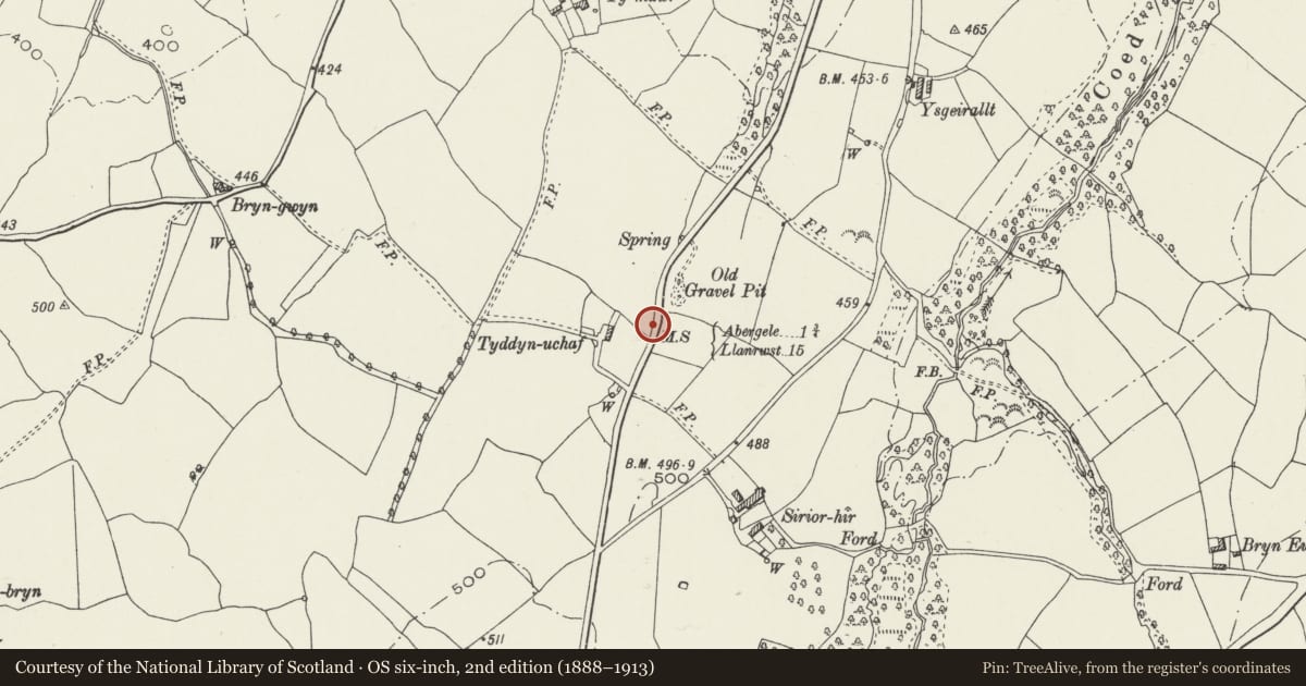 Ordnance Survey six-inch map, 2nd edition (1888–1913) covering the location of Milestone, Betws Yn Rhos, Conwy, with a pin at the register's coordinates
