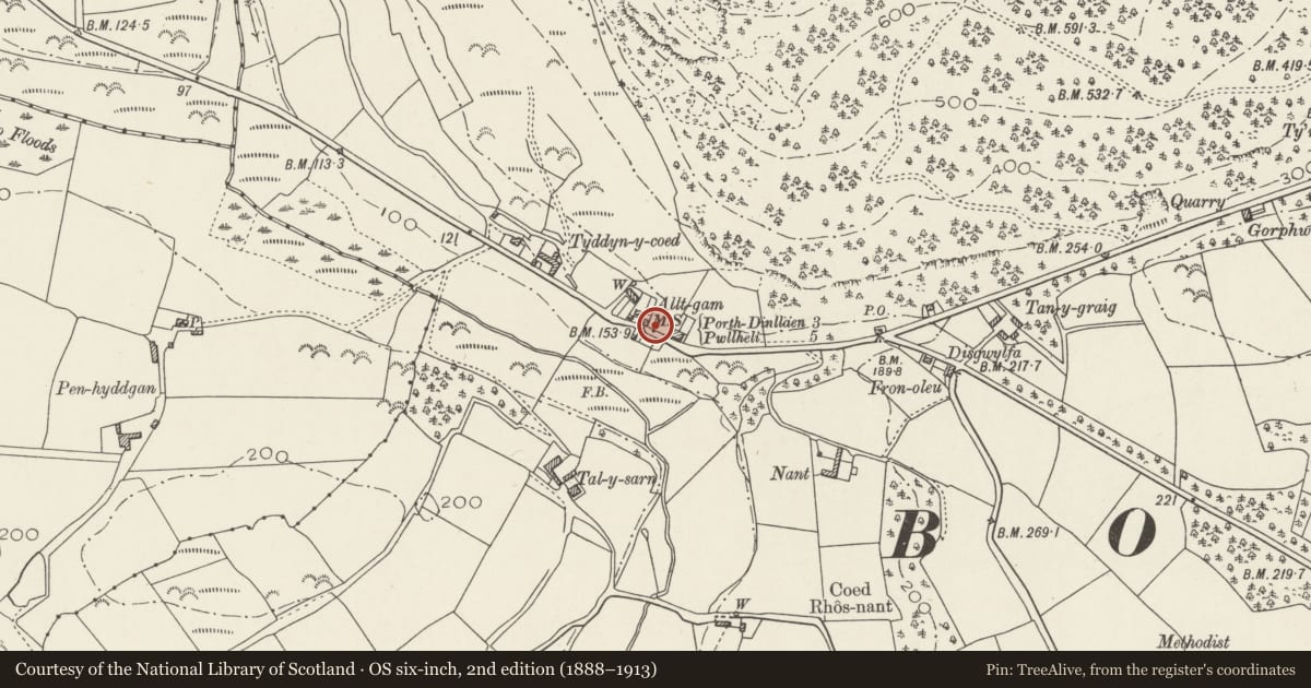 Ordnance Survey six-inch map, 2nd edition (1888–1913) covering the location of Milestone, Buan, Gwynedd, with a pin at the register's coordinates