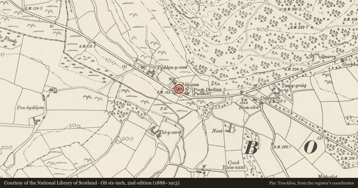 Ordnance Survey six-inch map, 2nd edition (1888–1913) covering the location of The Cock-loft, Buan, Gwynedd, with a pin at the register's coordinates