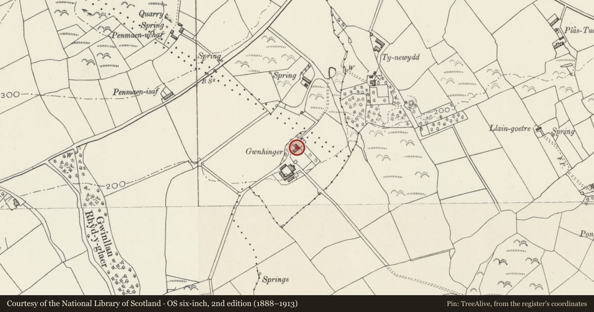 Ordnance Survey six-inch map, 2nd edition (1888–1913) covering the location of Gwnhinger, Buan, Gwynedd, with a pin at the register's coordinates