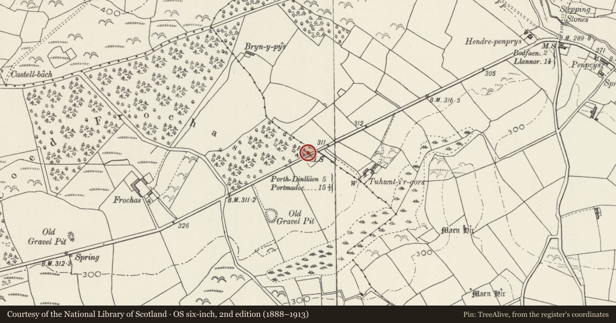 Ordnance Survey six-inch map, 2nd edition (1888–1913) covering the location of Milestone by Tuhwnt i'r Gors, Buan, Gwynedd, with a pin at the register's coordinates