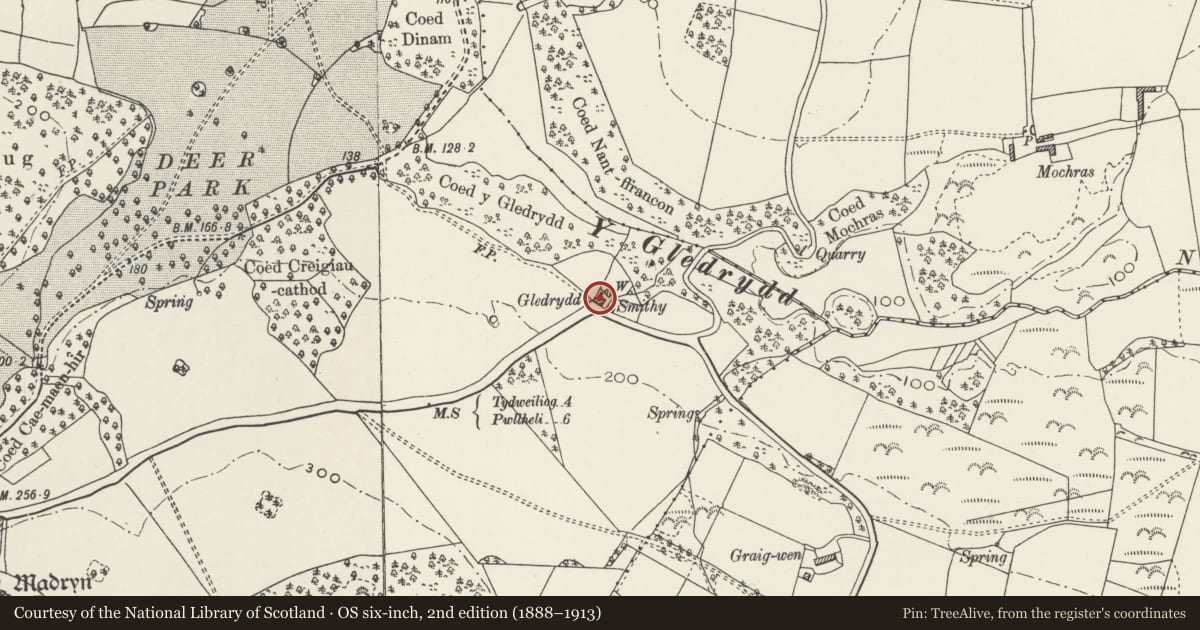 Ordnance Survey six-inch map, 2nd edition (1888–1913) covering the location of Efail Gledrydd Forge, Buan, Gwynedd, with a pin at the register's coordinates