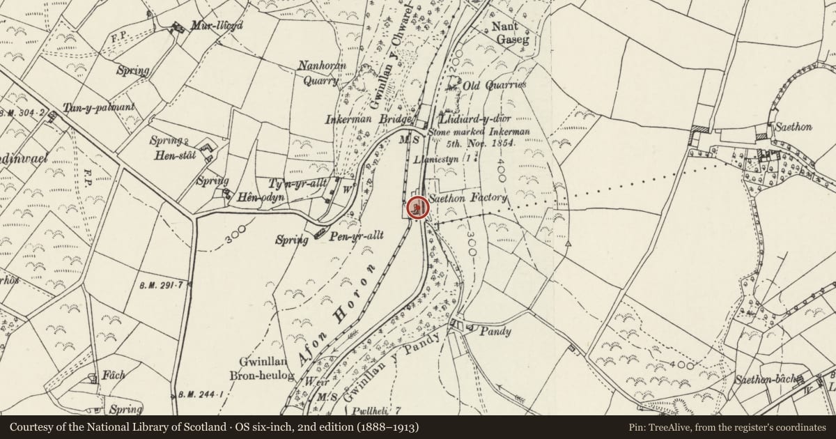 Ordnance Survey six-inch map, 2nd edition (1888–1913) covering the location of The Factory/Y Ffatri, Buan, Gwynedd, with a pin at the register's coordinates