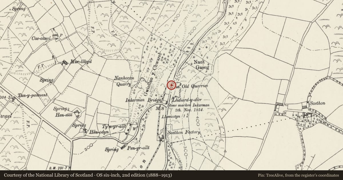 Ordnance Survey six-inch map, 2nd edition (1888–1913) covering the location of Milestone, Buan, Gwynedd, with a pin at the register's coordinates