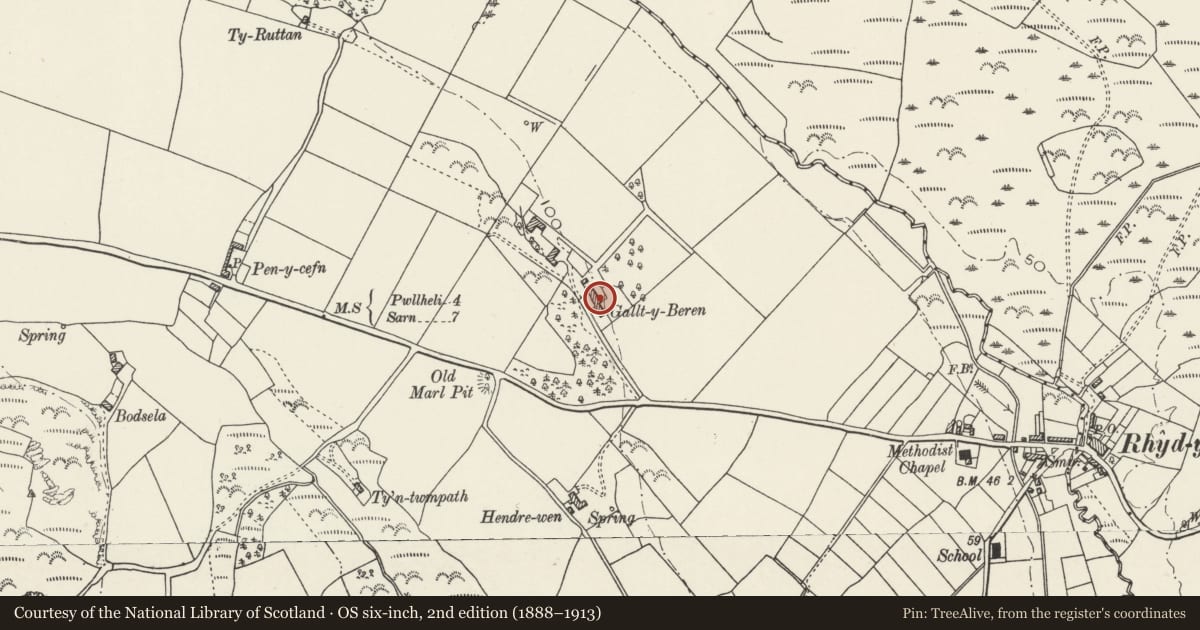 Ordnance Survey six-inch map, 2nd edition (1888–1913) covering the location of Gallt-y-beren, Buan, Gwynedd, with a pin at the register's coordinates