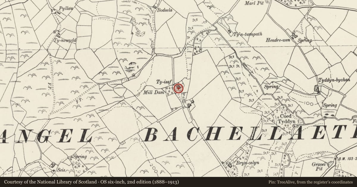 Ordnance Survey six-inch map, 2nd edition (1888–1913) covering the location of Ty Isaf (SE Cottage), Buan, Gwynedd, with a pin at the register's coordinates