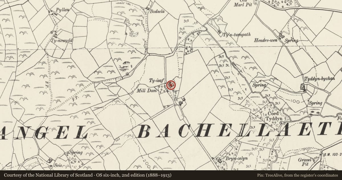 Ordnance Survey six-inch map, 2nd edition (1888–1913) covering the location of Ty Isaf (NW Cottage), Buan, Gwynedd, with a pin at the register's coordinates