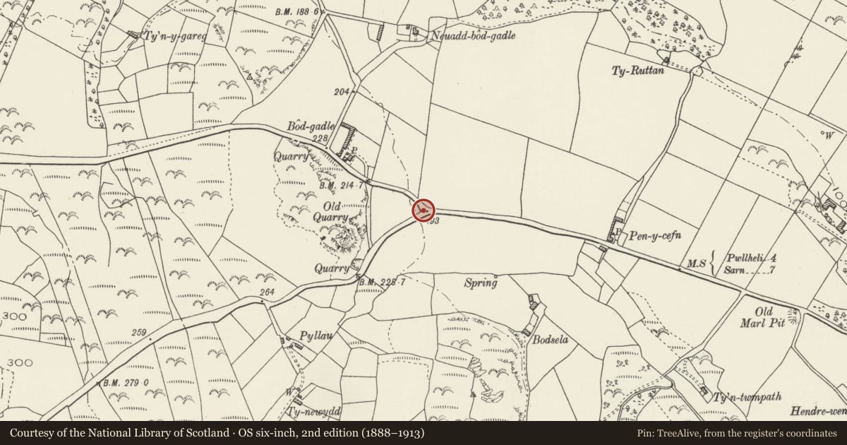 Ordnance Survey six-inch map, 2nd edition (1888–1913) covering the location of Roadsign SE of Bogdadle, Buan, Gwynedd, with a pin at the register's coordinates
