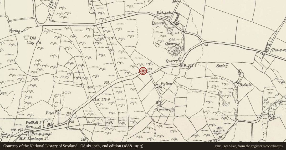 Ordnance Survey six-inch map, 2nd edition (1888–1913) covering the location of Milestone, Buan, Gwynedd, with a pin at the register's coordinates