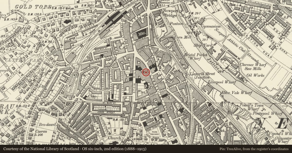 Ordnance Survey six-inch map, 2nd edition (1888–1913) covering the location of Wildings, Stow Hill, Newport, with a pin at the register's coordinates