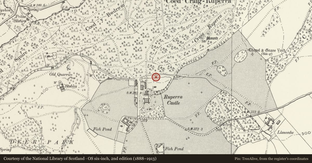 Ordnance Survey six-inch map, 2nd edition (1888–1913) covering the location of Glasshouse to north-east of Ruperra Castle, Rudry, Caerphilly, with a pin at the register's coordinates