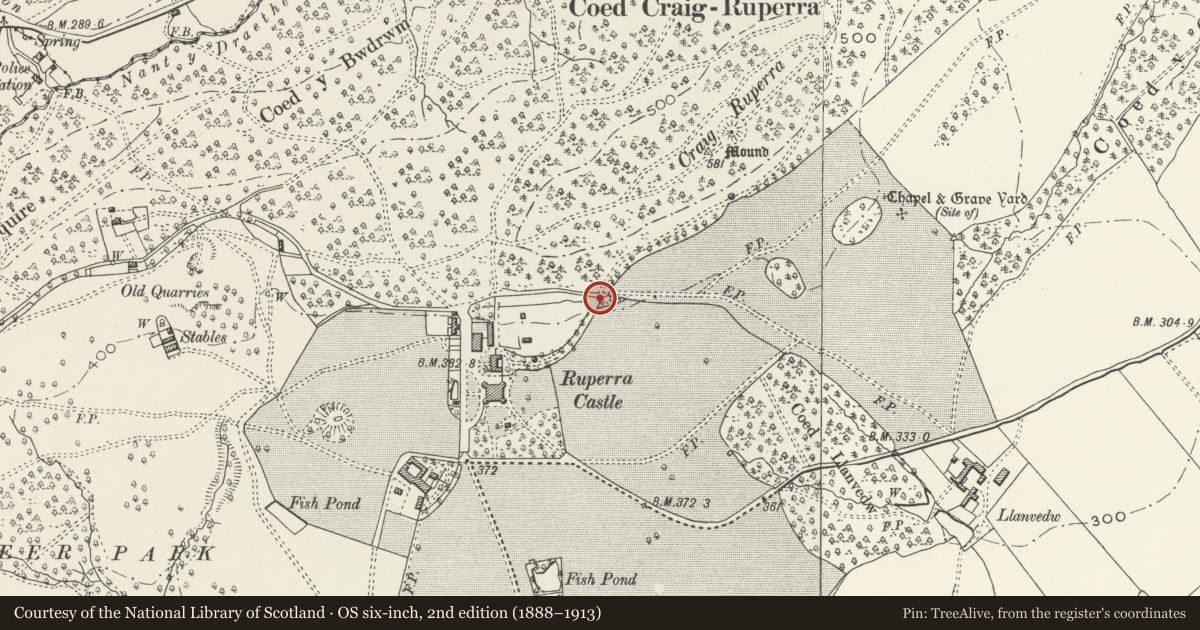 Ordnance Survey six-inch map, 2nd edition (1888–1913) covering the location of Summerhouse to north-east of Ruperra Castle, Rudry, Caerphilly, with a pin at the register's coordinates
