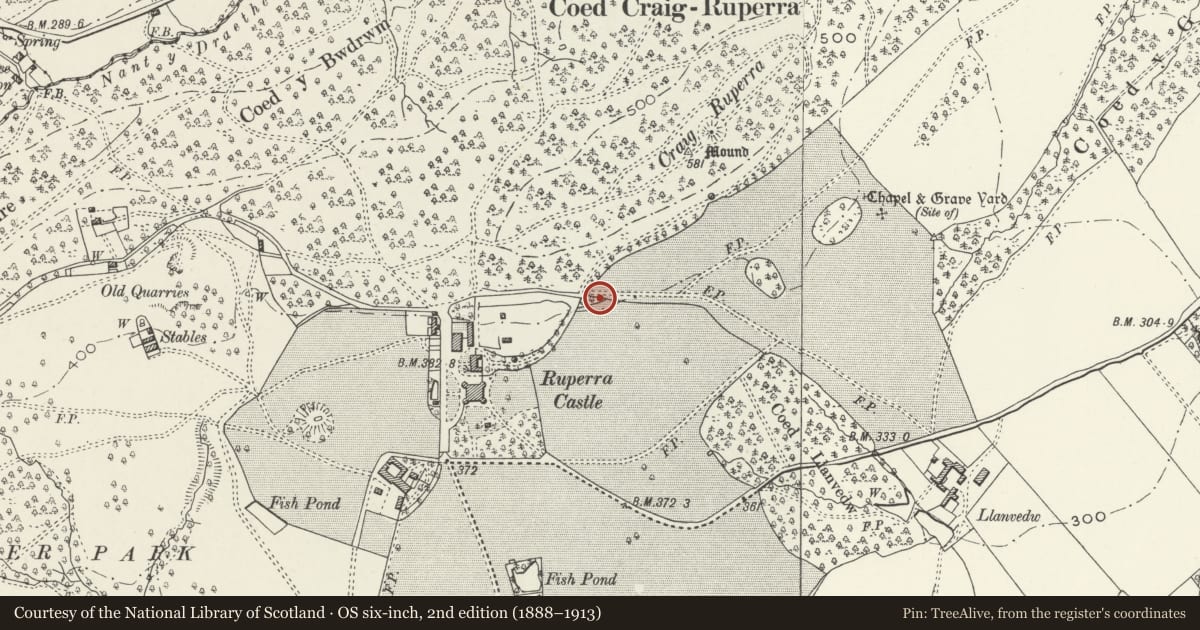 Ordnance Survey six-inch map, 2nd edition (1888–1913) covering the location of Castellated boundary wall to ha-ha to east and south of Ruperra Castle, Rudry, Caerphilly, with a pin at the register's coordinates