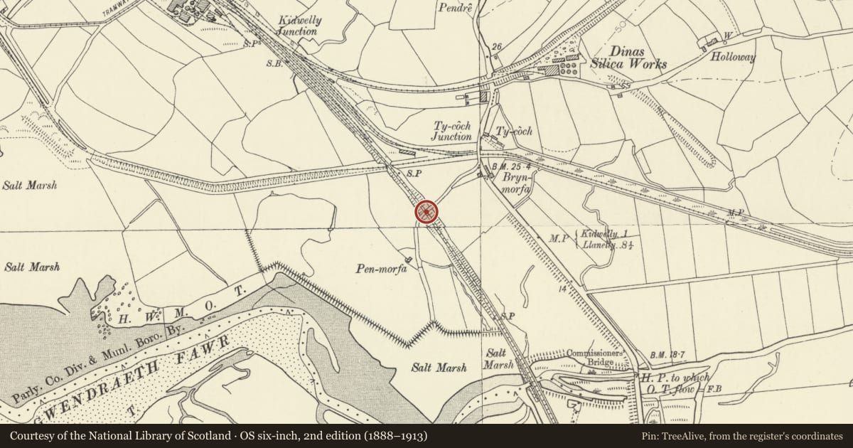 Ordnance Survey six-inch map, 2nd edition (1888–1913) covering the location of Cae Newydd Railway Bridge, Kidwelly, Carmarthenshire, with a pin at the register's coordinates
