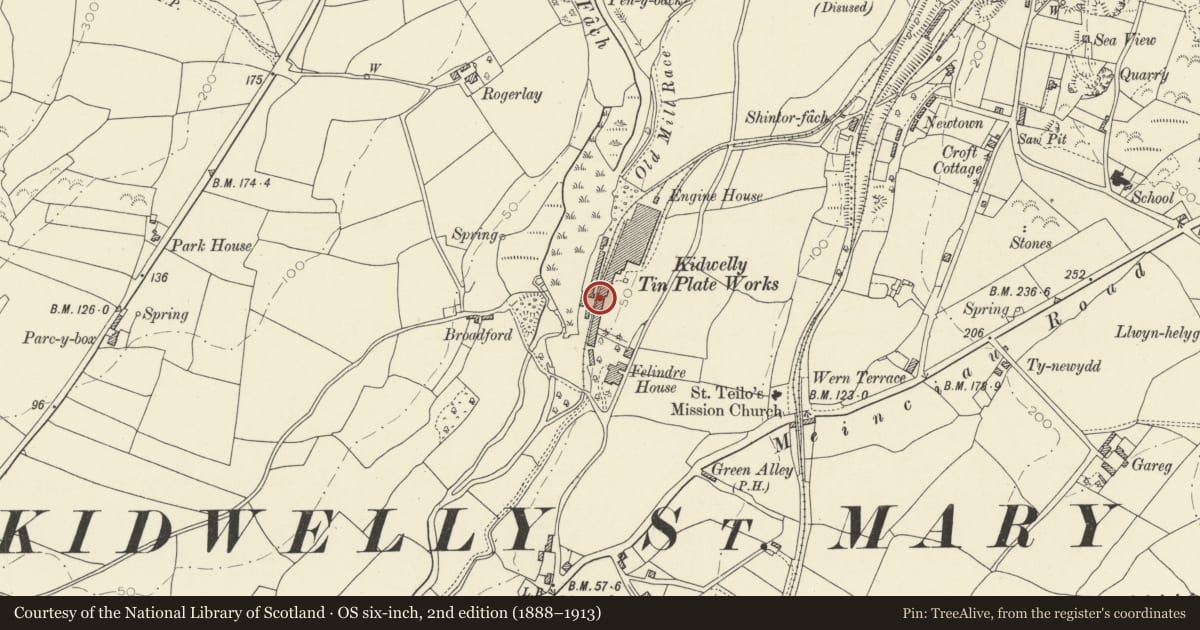 Ordnance Survey six-inch map, 2nd edition (1888–1913) covering the location of Assorting Room at former Kidwelly Tinplate Works, Carmarthenshire, with a pin at the register's coordinates