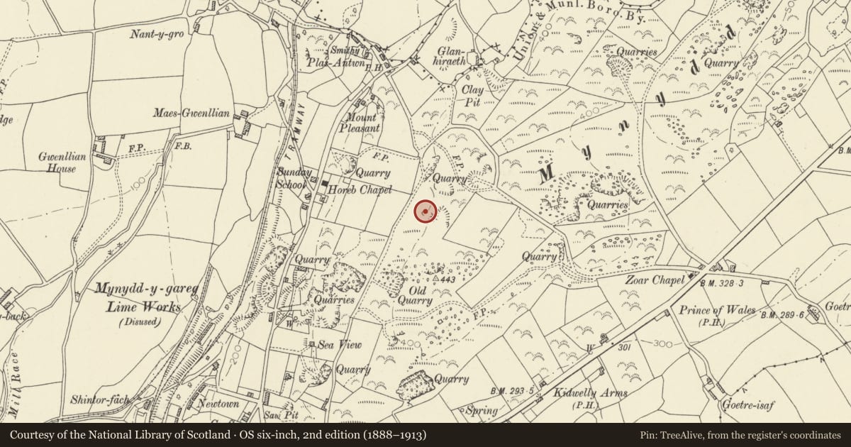 Ordnance Survey six-inch map, 2nd edition (1888–1913) covering the location of Lime-kiln facing W, on ridge E of Capel Horeb, Kidwelly, Carmarthenshire, with a pin at the register's coordinates