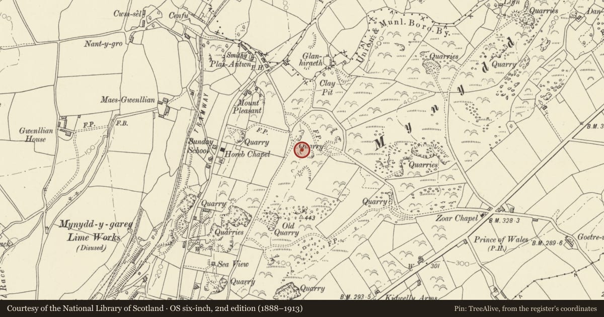 Ordnance Survey six-inch map, 2nd edition (1888–1913) covering the location of Lime-kiln facing S, on ridge E of Capel Horeb, Kidwelly, Carmarthenshire, with a pin at the register's coordinates