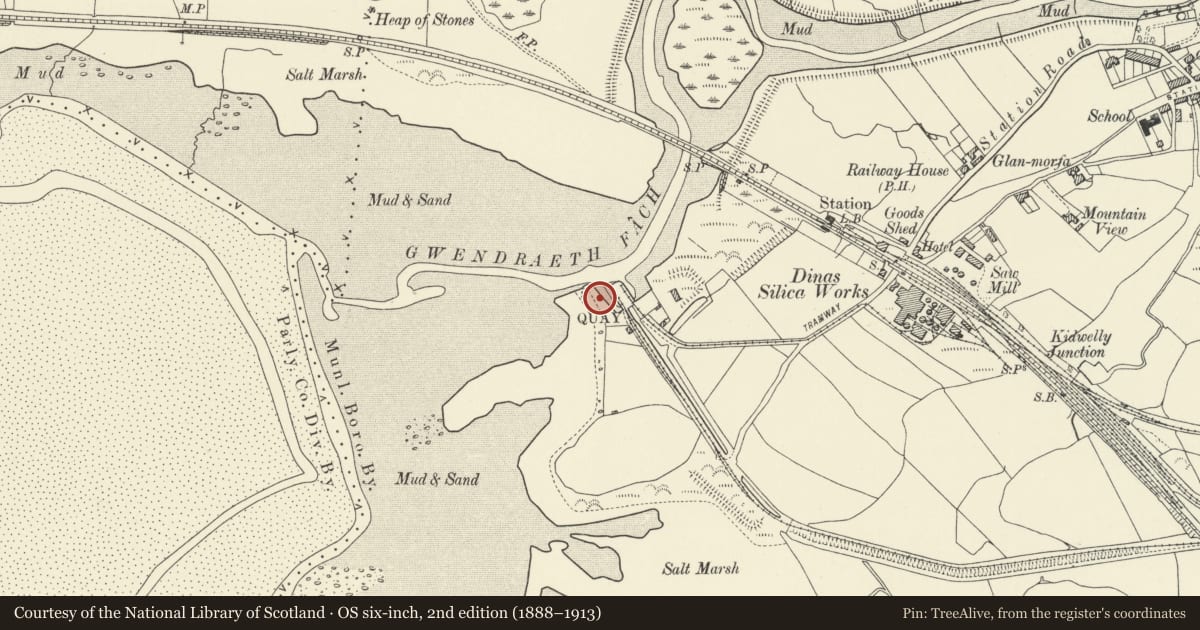 Ordnance Survey six-inch map, 2nd edition (1888–1913) covering the location of Kidwelly Quay, Carmarthenshire, with a pin at the register's coordinates