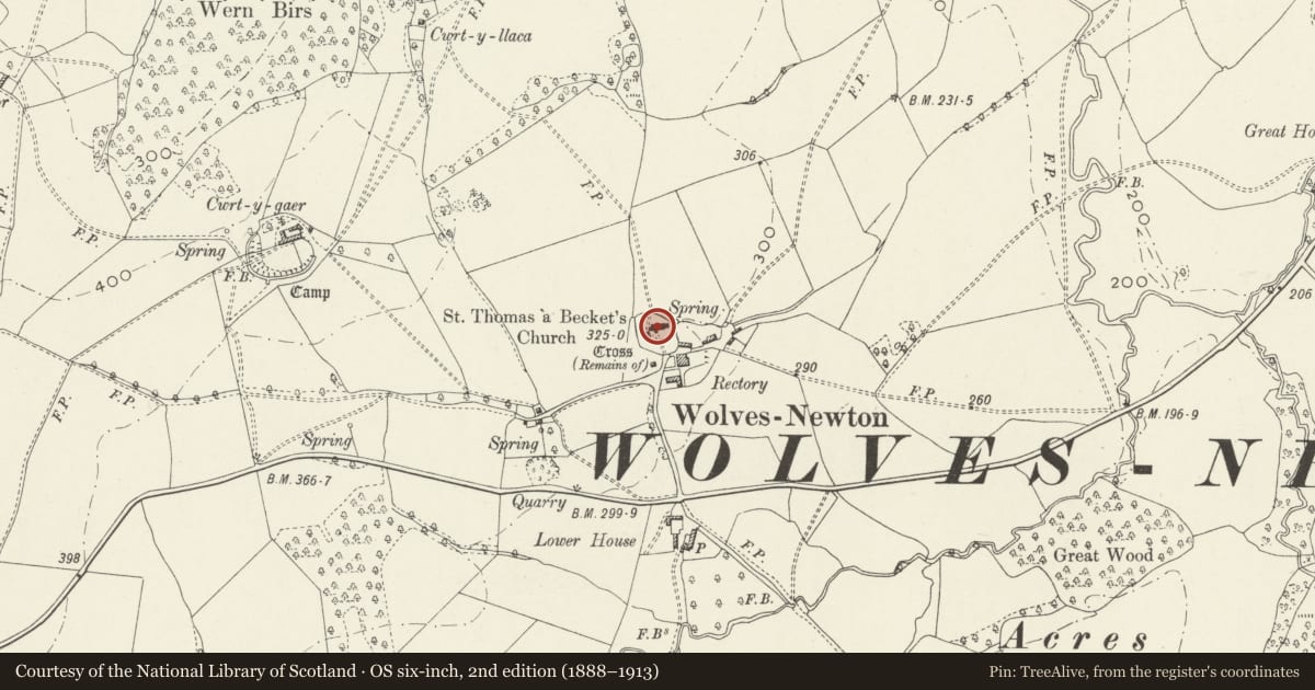 Ordnance Survey six-inch map, 2nd edition (1888–1913) covering the location of Church of St Thomas a Becket, Devauden, Monmouthshire, with a pin at the register's coordinates
