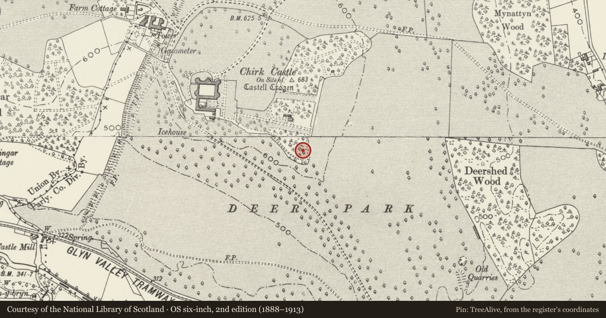 Ordnance Survey six-inch map, 2nd edition (1888–1913) covering the location of Statue by the lily pond in the E Garden, Chirk, Wrexham, with a pin at the register's coordinates