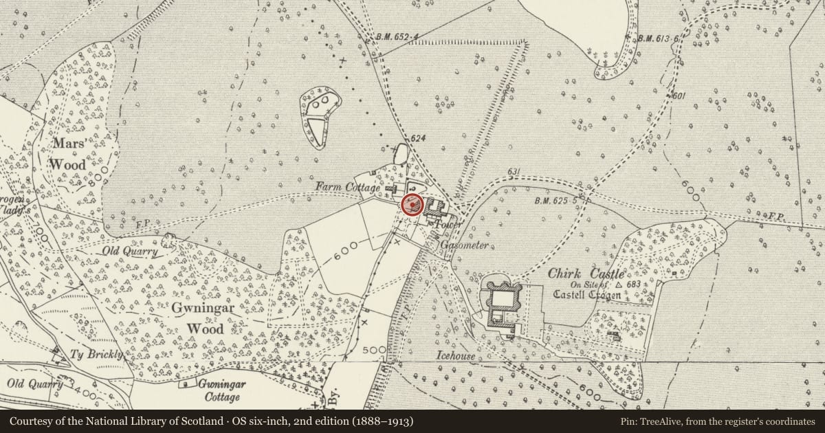 Ordnance Survey six-inch map, 2nd edition (1888–1913) covering the location of Johnston's Cottage and Farm Buildings of Home Farm, Chirk, Wrexham, with a pin at the register's coordinates