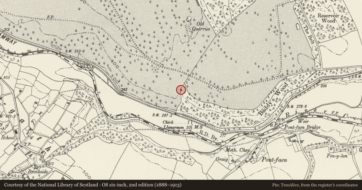 Ordnance Survey six-inch map, 2nd edition (1888–1913) covering the location of Deer Park Wall, Chirk, Wrexham, with a pin at the register's coordinates