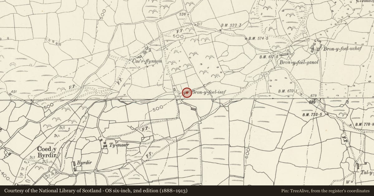 Ordnance Survey six-inch map, 2nd edition (1888–1913) covering the location of Bron-y-foel-isaf, Dyffryn Ardudwy, Gwynedd, with a pin at the register's coordinates