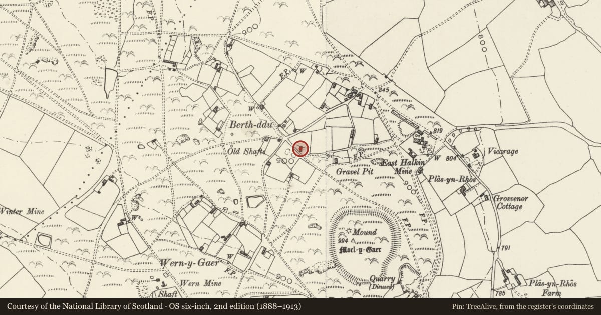 Ordnance Survey six-inch map, 2nd edition (1888–1913) covering the location of Hawthorn Cottage, Halkyn, Flintshire, with a pin at the register's coordinates
