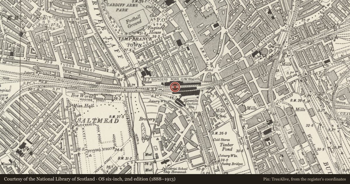 Ordnance Survey six-inch map, 2nd edition (1888–1913) covering the location of Central Station (Main entrance is in community of Castle), Butetown, Cardiff, with a pin at the register's coordinates