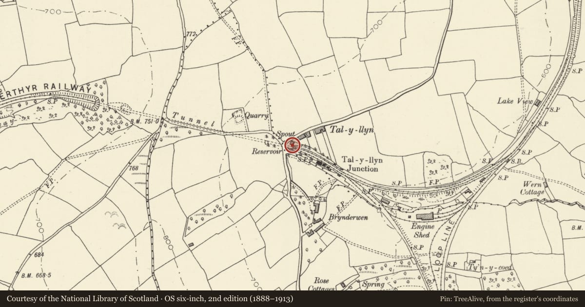 Ordnance Survey six-inch map, 2nd edition (1888–1913) covering the location of Tal-y-llyn Railway Tunnel, Llangors, Powys, with a pin at the register's coordinates