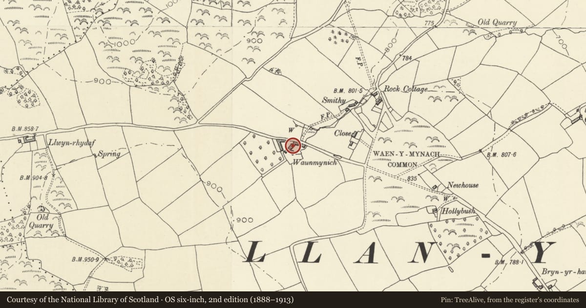 Ordnance Survey six-inch map, 2nd edition (1888–1913) covering the location of Kitchen and Granary range at Waunmynich, Llangors, Powys, with a pin at the register's coordinates