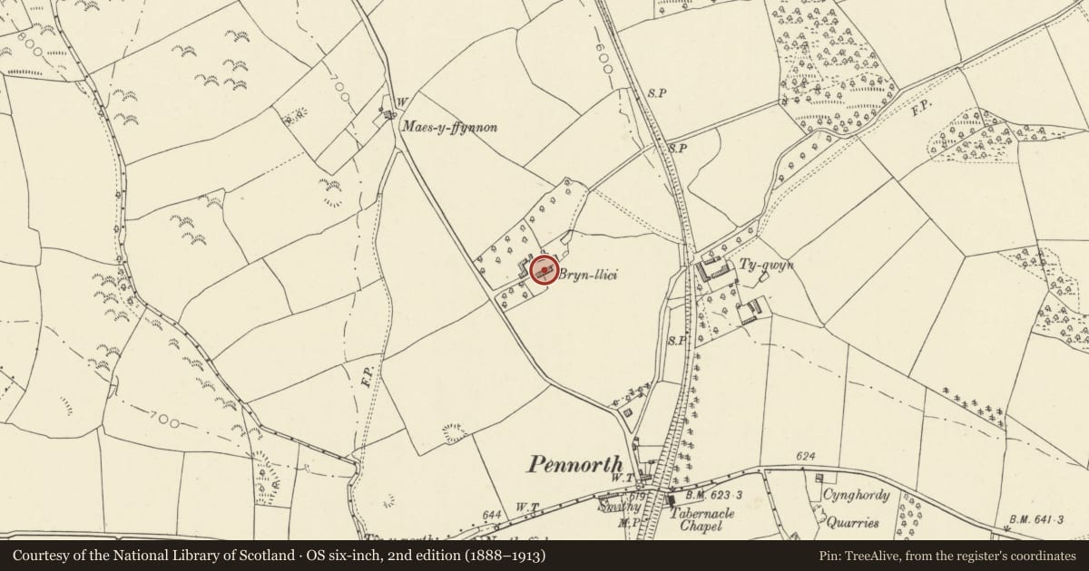 Ordnance Survey six-inch map, 2nd edition (1888–1913) covering the location of Former house at Brynllici, Llangors, Powys, with a pin at the register's coordinates