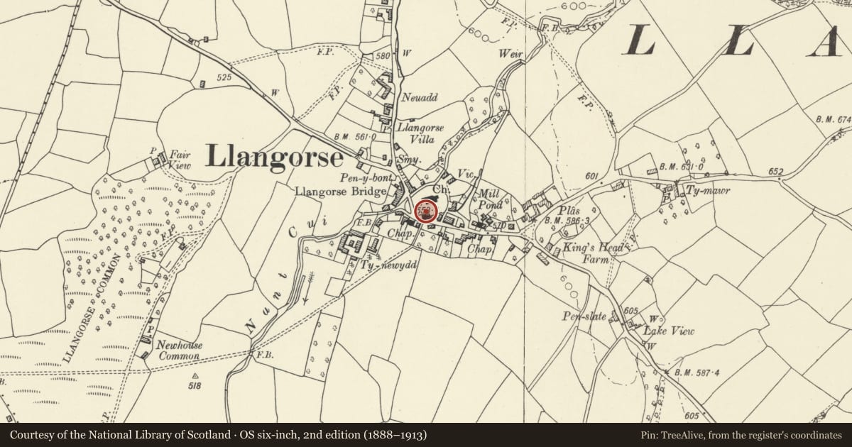 Ordnance Survey six-inch map, 2nd edition (1888–1913) covering the location of Group of 2 chest tombs in the churchyard to SW of church of St Paulinus, Llangors, Powys, with a pin at the register's coordinates