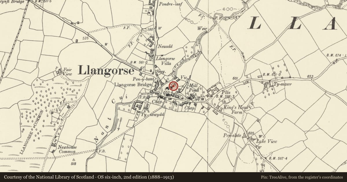 Ordnance Survey six-inch map, 2nd edition (1888–1913) covering the location of Table tomb to Richard Bowen in the churchyard to E of the church of St Paulinus, Llangors, Powys, with a pin at the register's coordinates