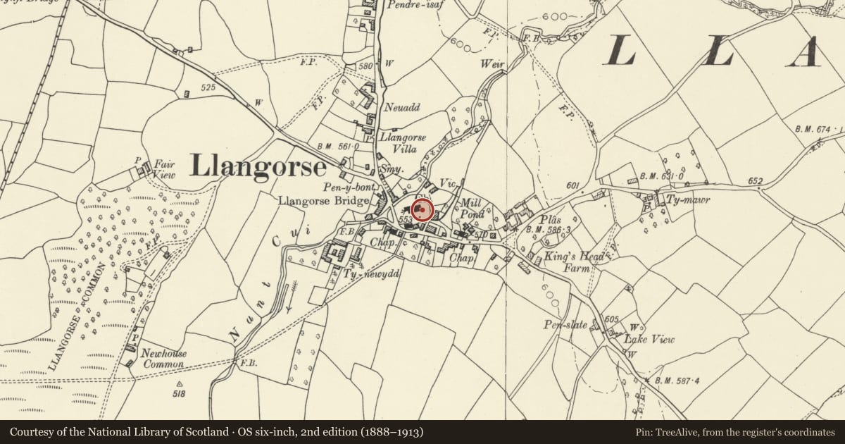 Ordnance Survey six-inch map, 2nd edition (1888–1913) covering the location of Table tomb to Jane Watkeys in the churchyard to E of the church of St Paulinus, Llangors, Powys, with a pin at the register's coordinates