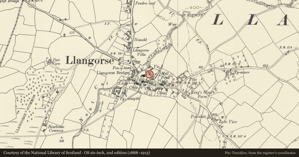 Ordnance Survey six-inch map, 2nd edition (1888–1913) covering the location of Group of 3 headstones in the churchyard to SE of the church of St Paulinus, Llangors, Powys, with a pin at the register's coordinates