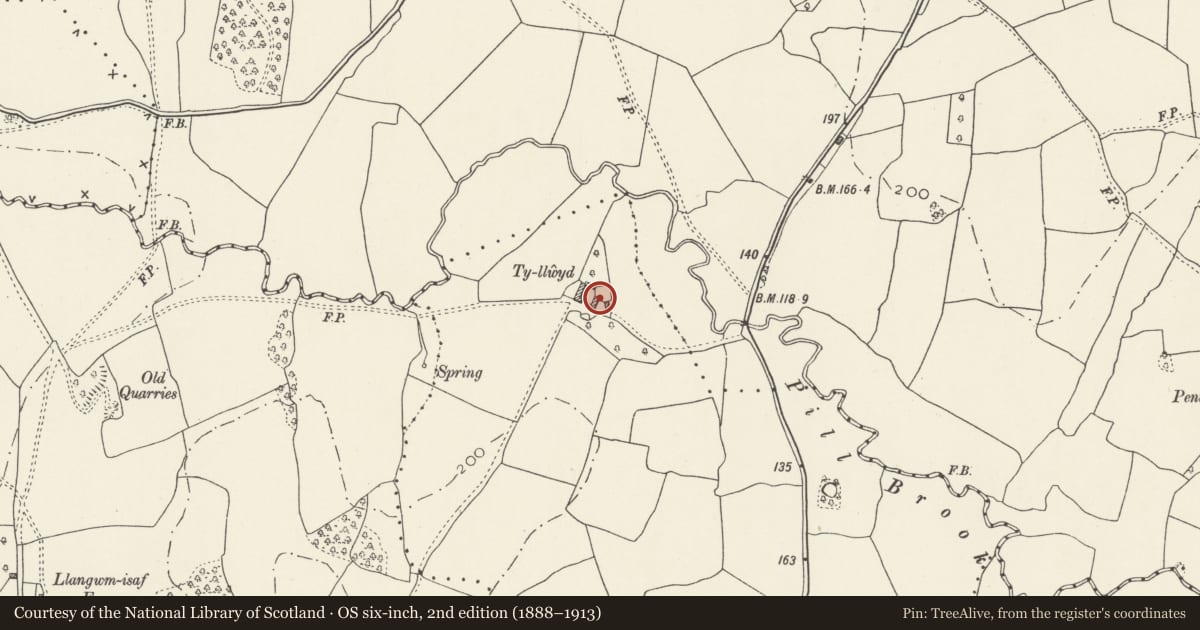 Ordnance Survey six-inch map, 2nd edition (1888–1913) covering the location of Ty Llwyd, Llantrisant Fawr, Monmouthshire, with a pin at the register's coordinates