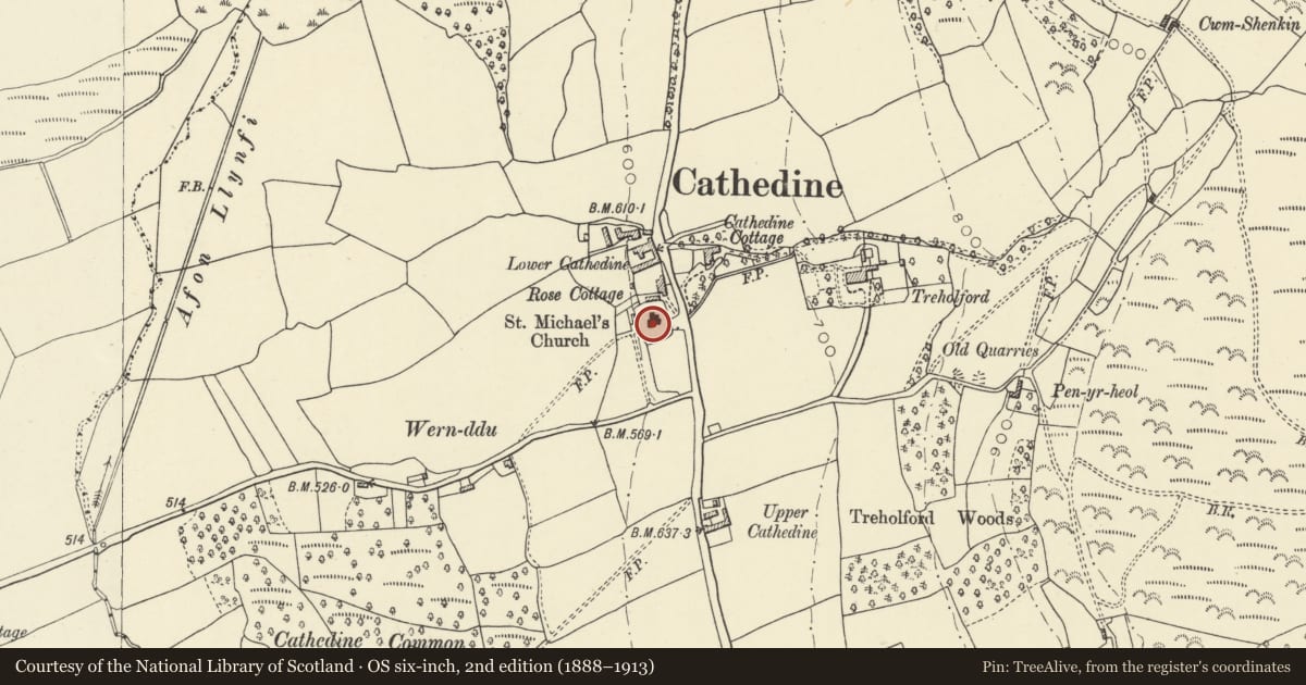Ordnance Survey six-inch map, 2nd edition (1888–1913) covering the location of Vaughan monument in the churchyard to S side of church of St Michael, Llangors, Powys, with a pin at the register's coordinates