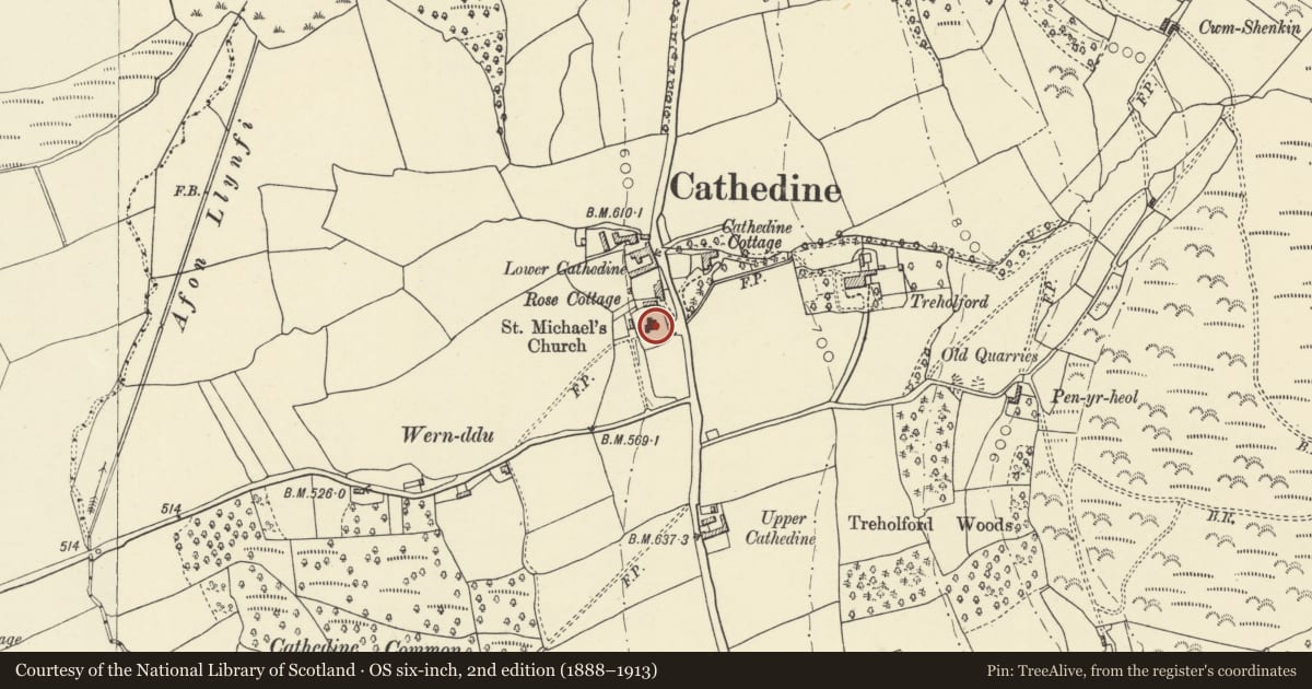 Ordnance Survey six-inch map, 2nd edition (1888–1913) covering the location of Gunter monuments in the churchyard at E end of church of St Michael, Llangors, Powys, with a pin at the register's coordinates