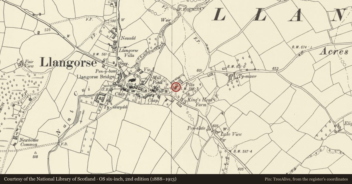 Ordnance Survey six-inch map, 2nd edition (1888–1913) covering the location of Barn range at Plas, Llangors, Powys, with a pin at the register's coordinates