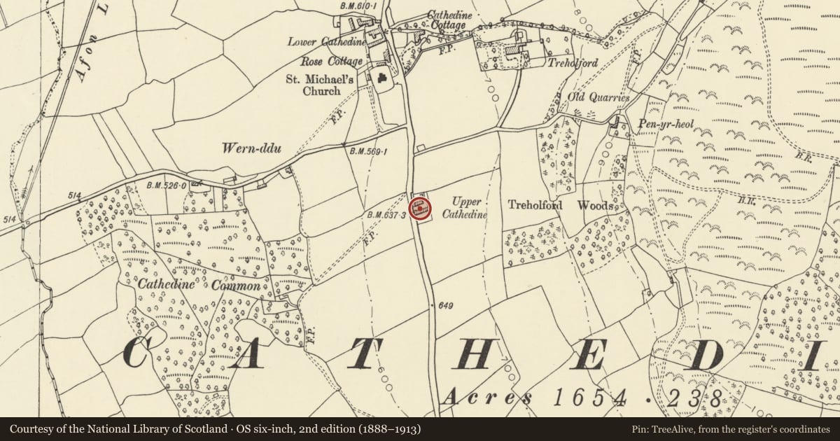 Ordnance Survey six-inch map, 2nd edition (1888–1913) covering the location of Upper Cathedine, Llangors, Powys, with a pin at the register's coordinates