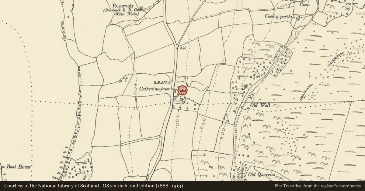 Ordnance Survey six-inch map, 2nd edition (1888–1913) covering the location of Barn at Cathedine Fawr, Llangors, Powys, with a pin at the register's coordinates