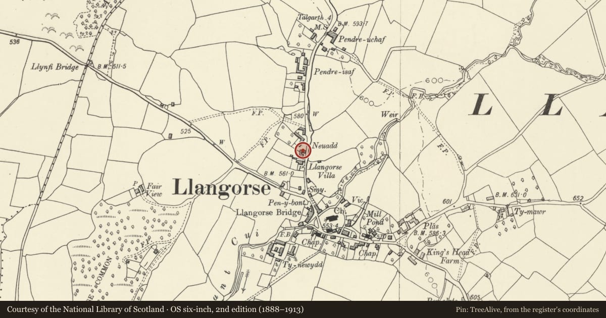 Ordnance Survey six-inch map, 2nd edition (1888–1913) covering the location of Barn to SE of Neuadd including attached front wall, Llangors, Powys, with a pin at the register's coordinates