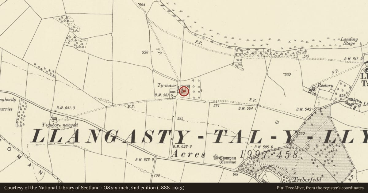 Ordnance Survey six-inch map, 2nd edition (1888–1913) covering the location of Two granaries at Ty Mawr, Llangors, Powys, with a pin at the register's coordinates