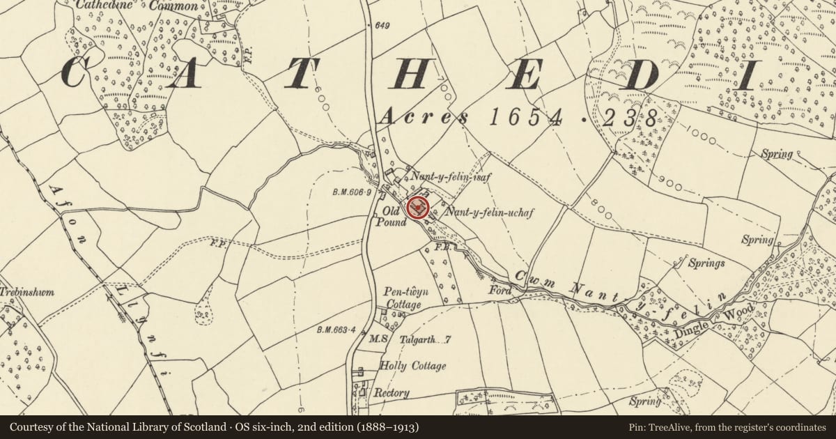 Ordnance Survey six-inch map, 2nd edition (1888–1913) covering the location of Barn and attached byre at Nant y Felin Uchaf, Llangors, Powys, with a pin at the register's coordinates