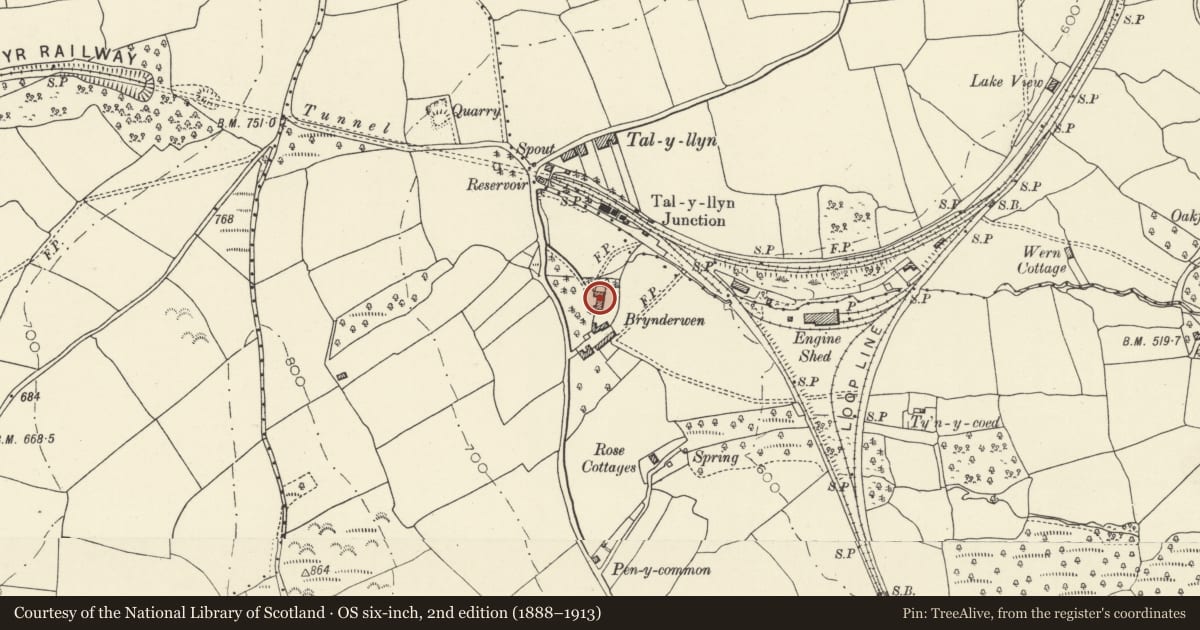 Ordnance Survey six-inch map, 2nd edition (1888–1913) covering the location of Glynderi, Llangors, Powys, with a pin at the register's coordinates