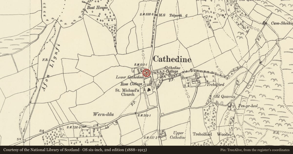 Ordnance Survey six-inch map, 2nd edition (1888–1913) covering the location of Lower Cathedine farmhouse and attached farm range to W., Llangors, Powys, with a pin at the register's coordinates