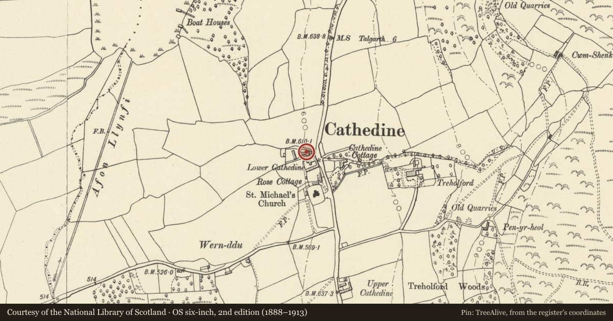 Ordnance Survey six-inch map, 2nd edition (1888–1913) covering the location of Barn and stable range N of Lower Cathedine farmhouse, Llangors, Powys, with a pin at the register's coordinates